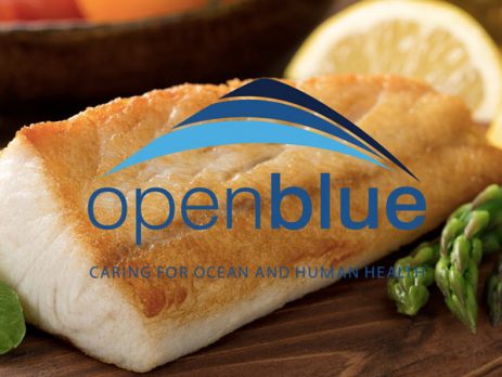 Cobia™ di Open Blue