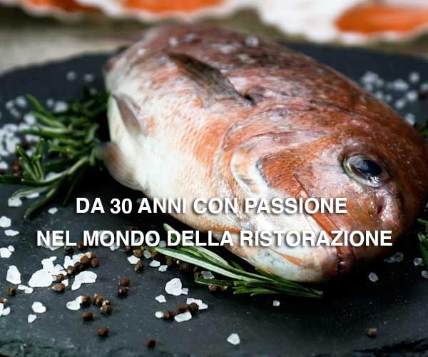 Bergel distributore alimentare ristorazione