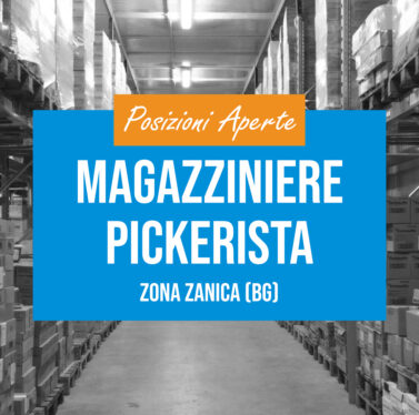 MAGAZZINIERE PICKERISTA