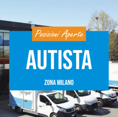 autista bergel ricerca lavoro